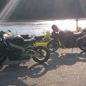 Meet your Posher, Elvin